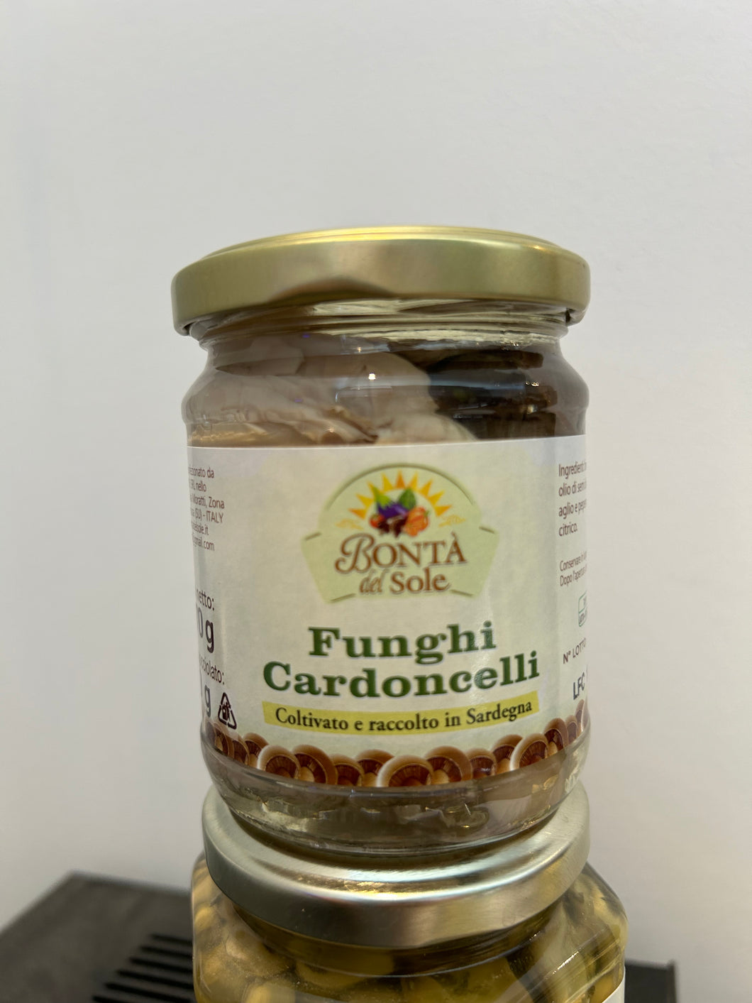 FUNGHI CARDONCELLI-BONTÀ DEL SOLE 170g