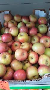 B41 - Mela Fuji Sardegna 1 Kg