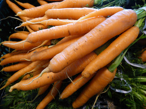 A12 - Carota con Foglia Sardegna 0.500 Kg