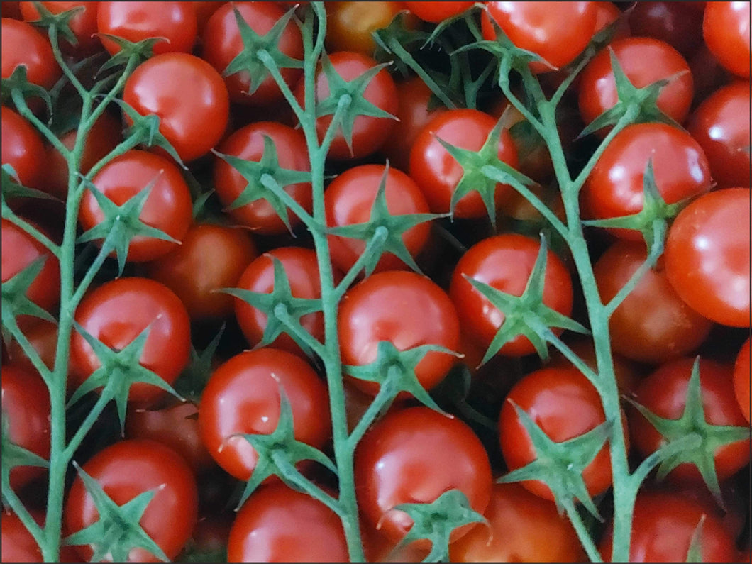 A39 - Pomodoro Ciliegino Sardegna 0.500 Kg