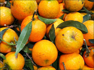 B65 - Clementine 1 Kg