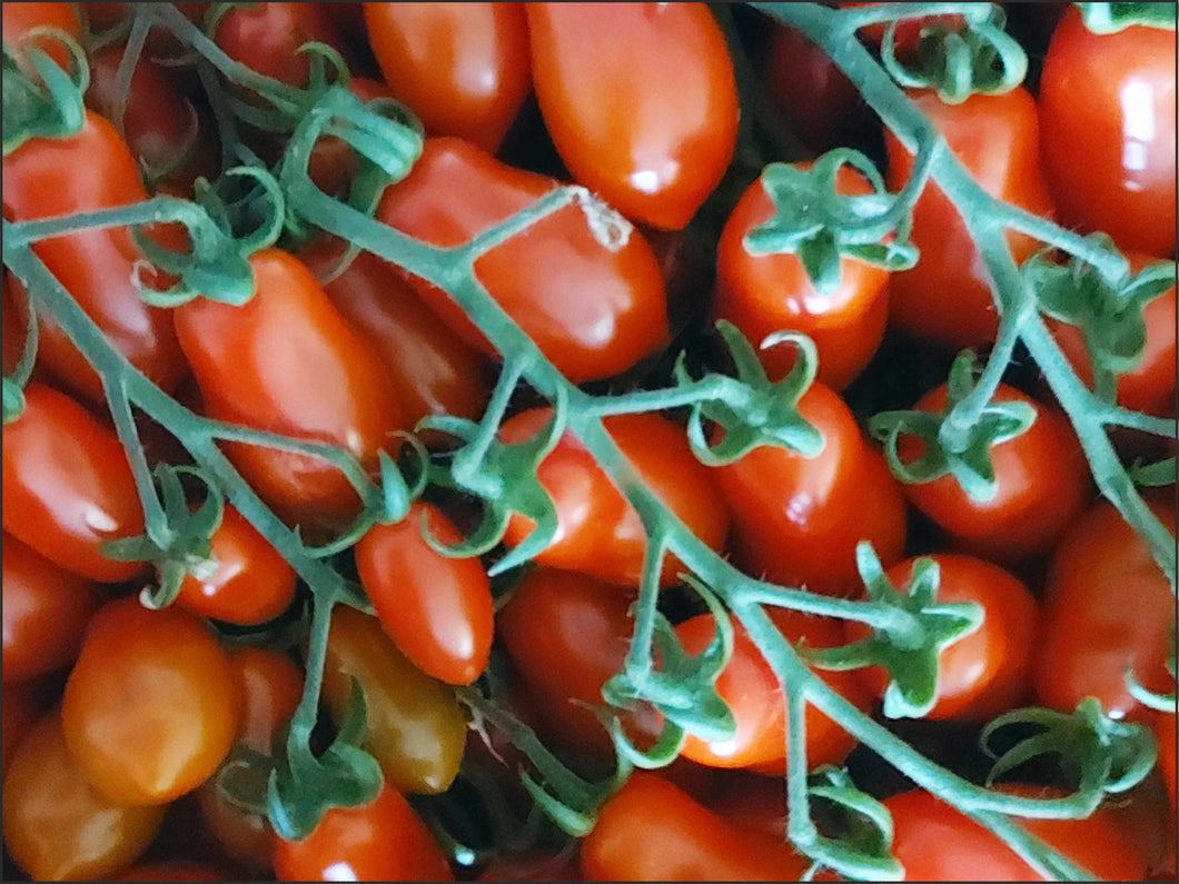 A48 - Pomodoro Datterino Sardegna 0.500 Kg