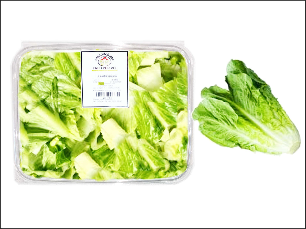 C22 - Insalata solo Lattuga Romana - Pronta 1 Pz 200 Gr