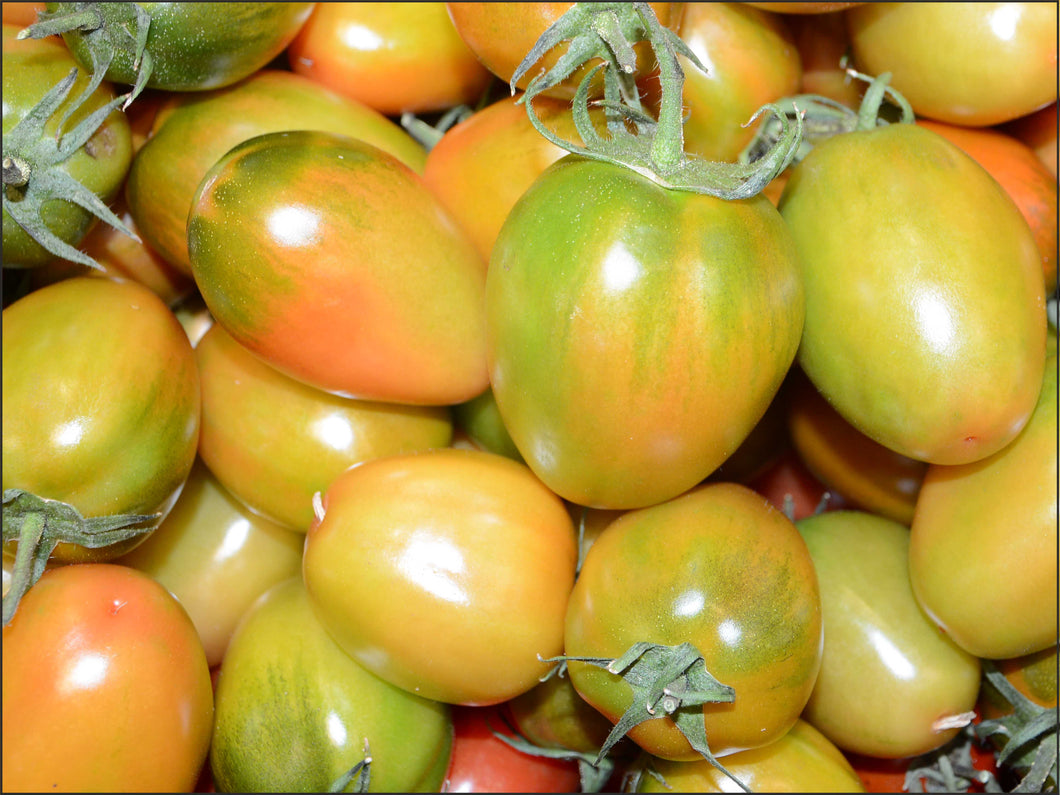 A43 - Pomodoro Nerina  0.500 Kg