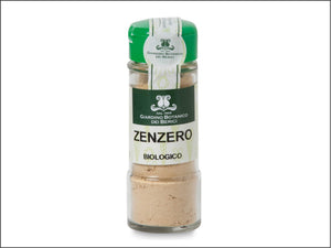 D99991 - Zenzero in Polvere Bio - Spezie 1 Pz 30 GR