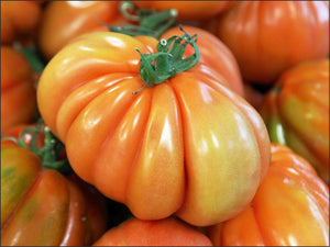 A47 - Pomodoro Cuore di Bue Sardegna 0.500 Kg