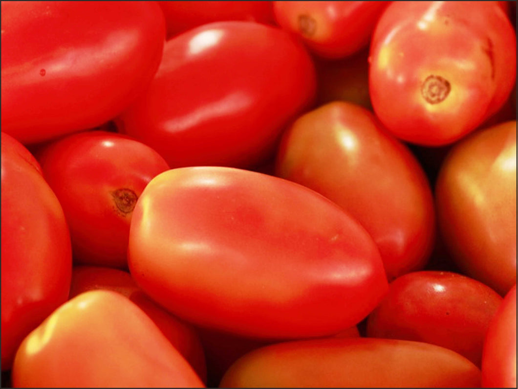 A40 - Pomodoro Lungo Rosso di campo,  Sardegna 1 Kg