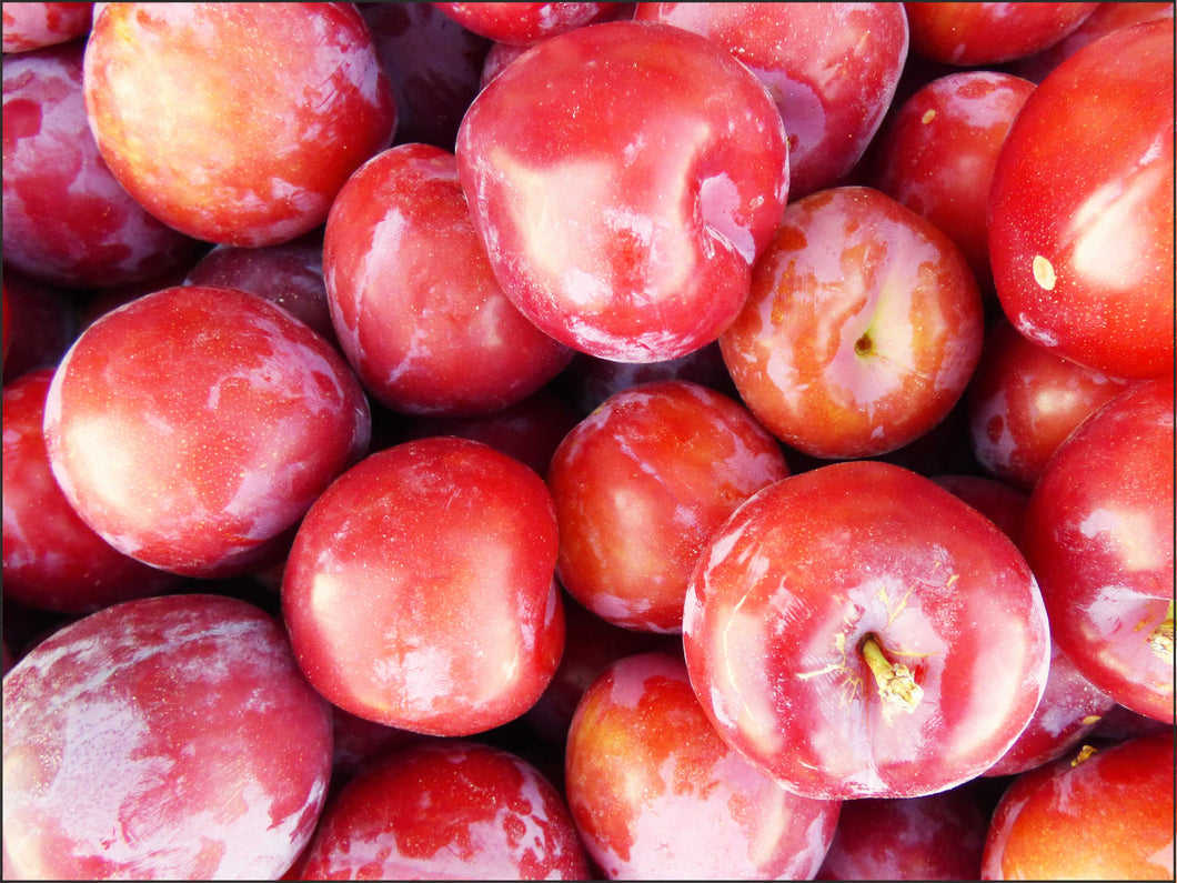 B66 - Susina Rossa Sardegna 0.500 Kg